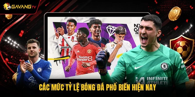 Các mức tỷ lệ bóng đá phổ biến hiện nay