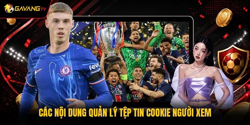Các nội dung quản lý tệp tin cookie người xem