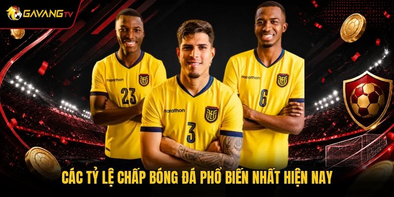 Các tỷ lệ chấp bóng đá phổ biến nhất hiện nay
