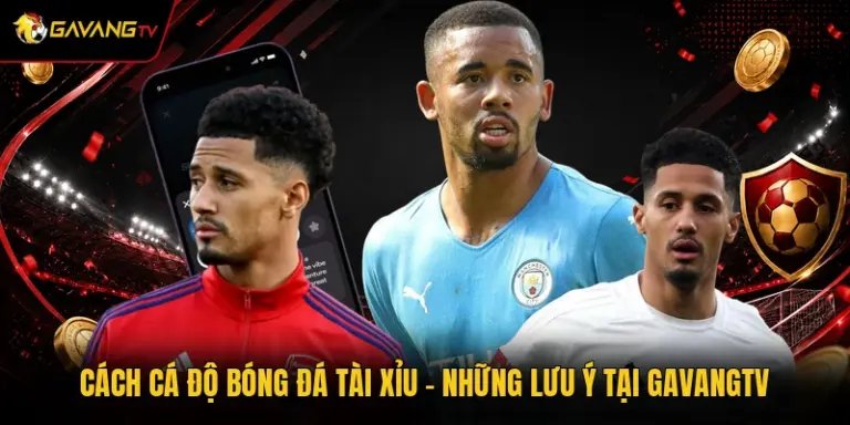 Cách Cá Độ Bóng Đá Tài Xỉu - Những Lưu Ý Tại GavangTV