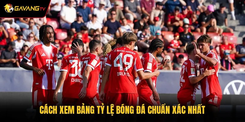 Cách xem bảng tỷ lệ bóng đá chuẩn xác nhất