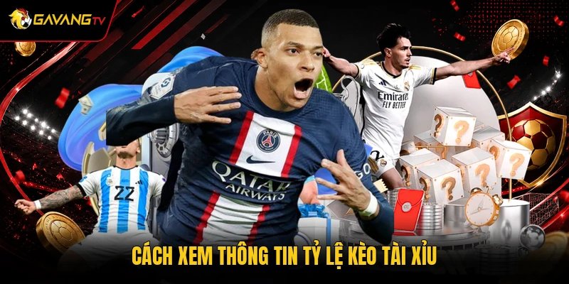 Cách xem thông tin tỷ lệ kèo tài xỉu