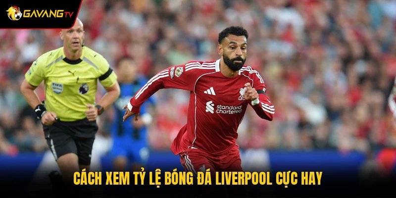 Cách xem tỷ lệ bóng đá Liverpool cực hay