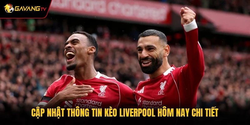 Cập nhật thông tin kèo Liverpool hôm nay chi tiết