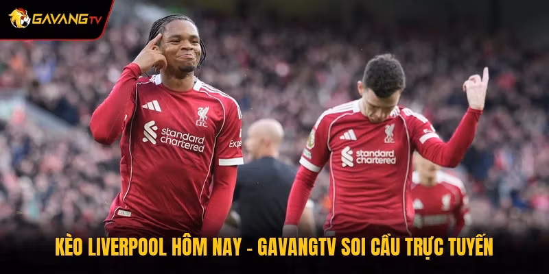 Kèo Liverpool Hôm Nay – GavangTV Soi Cầu Trực Tuyến