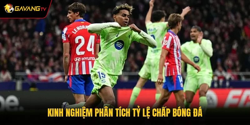 Kinh nghiệm phân tích tỷ lệ chấp bóng đá