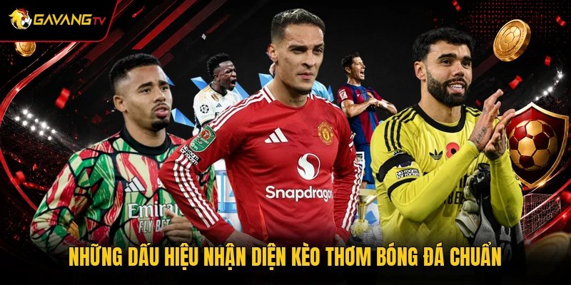 Những dấu hiệu nhận diện kèo thơm bóng đá chuẩn
