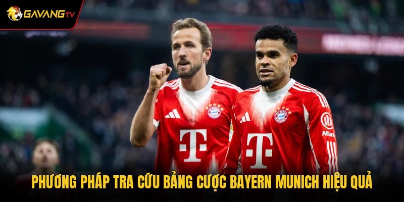Phương pháp tra cứu bảng cược Bayern Munich hiệu quả