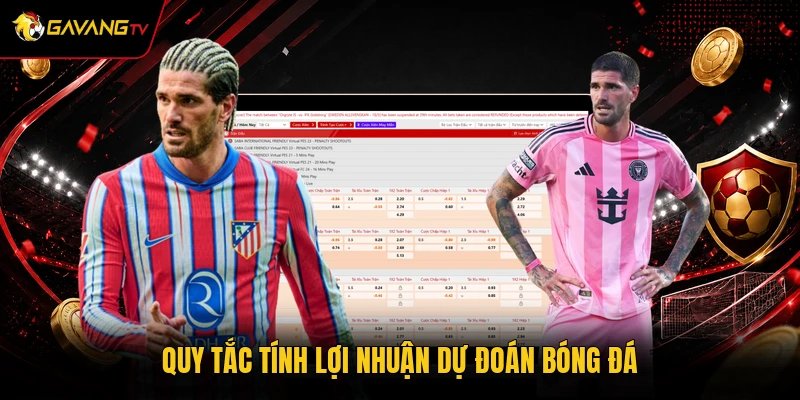 Quy tắc tính lợi nhuận dự đoán bóng đá