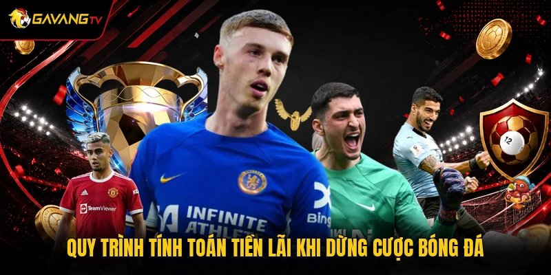 Quy trình tính toán tiền lãi khi dừng cược bóng đá