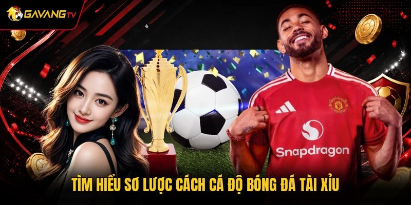 Tìm hiểu sơ lược cách cá độ bóng đá tài xỉu